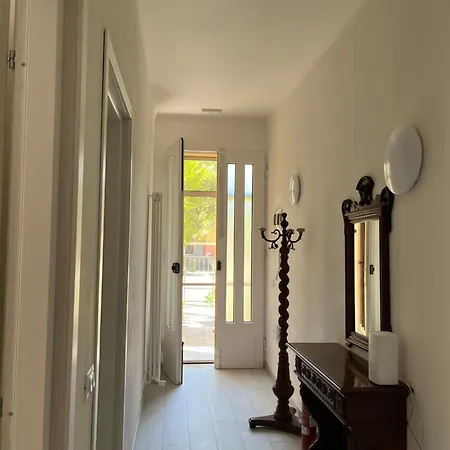 Barchetta Модена