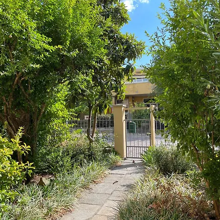 Barchetta * Модена